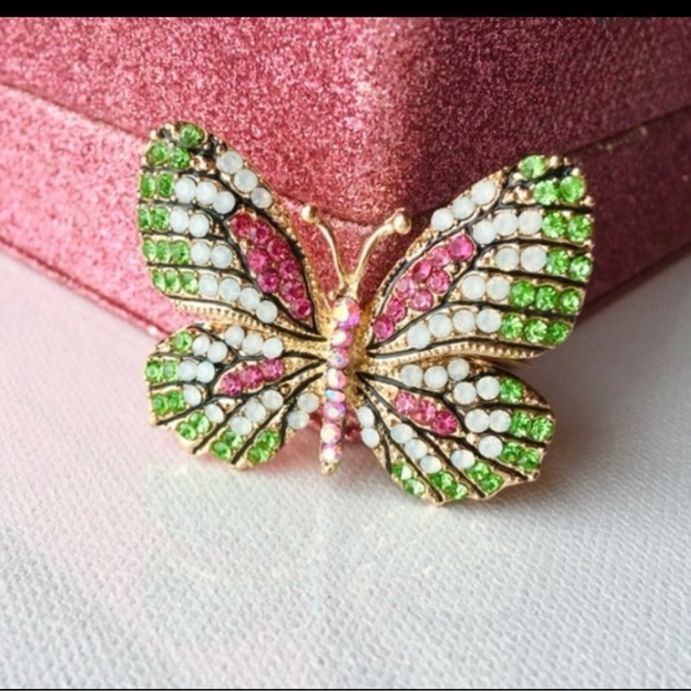 🍉WATERMELON BUTTERFLY BROOCH !